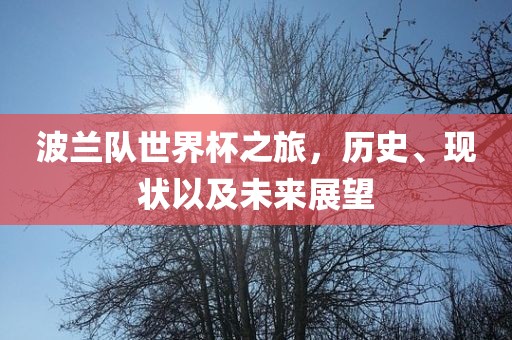 波兰队世界杯之旅，历史、现状以及未来展望