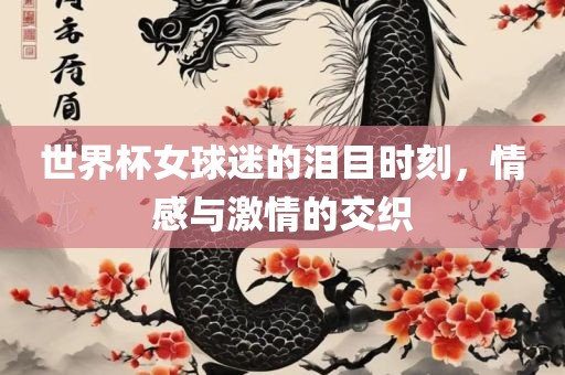 世界杯女球迷的泪目时刻，情感与激情的交织