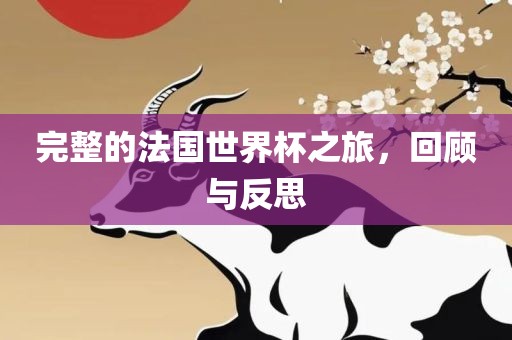 完整的法国世界杯之旅，回顾与反思