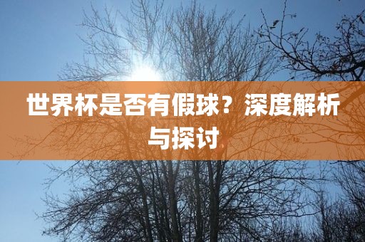 世界杯是否有假球？深度解析与探讨