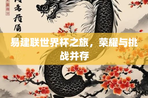 易建联世界杯之旅，荣耀与挑战并存