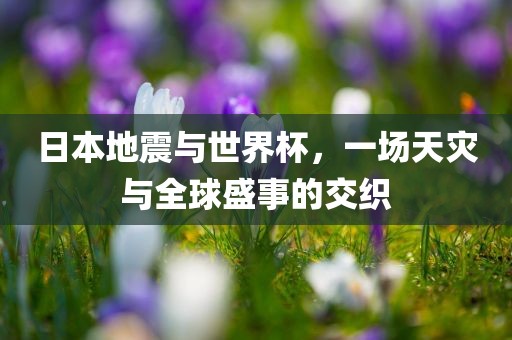 日本地震与世界杯，一场天灾与漯河市盈旭机械设备有限公司全球盛事的交织
