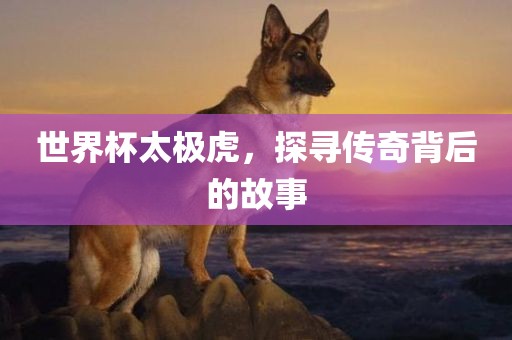 世界杯太极虎，探寻传奇背后的故事
