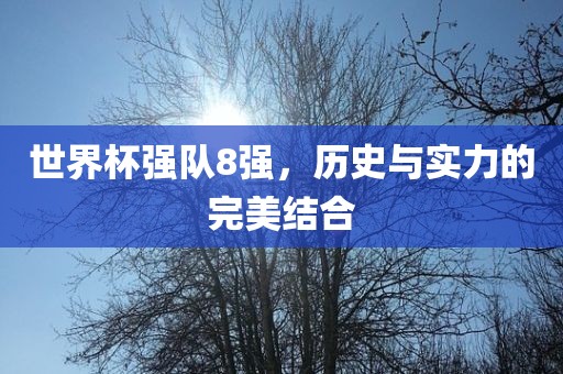 世界杯强队8强，历史与实力的完美结合