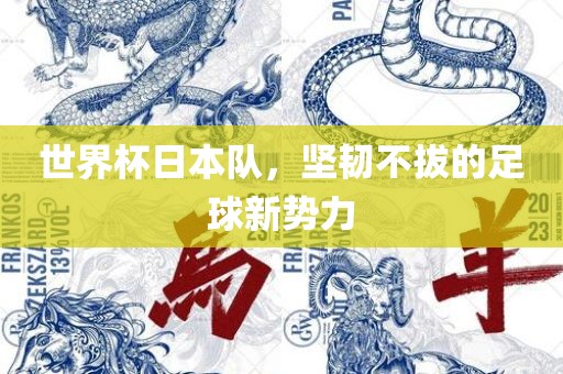 世界杯日本队，坚韧不拔的足球新势力