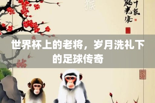 世界杯上的老将，岁月洗礼下的足球传奇