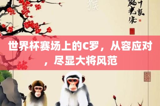 世界杯赛场上的C罗，从容应对，尽显大将风范漯河市盈旭机械设备有限公司