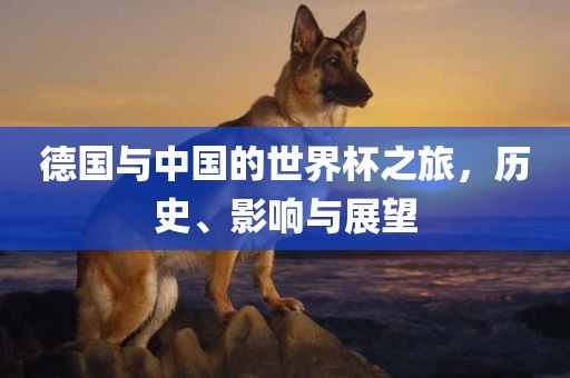 德国与中国的世界杯之旅，历史、影响与展望漯河市盈旭机械设备有限公司