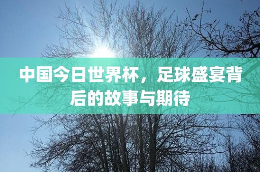 中国今日世界杯，足球盛宴背后的故事与期漯河市盈旭机械设备有限公司待