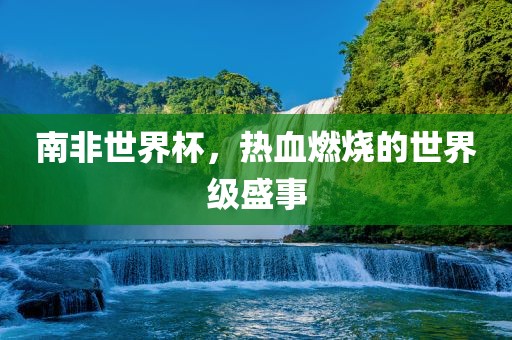 南非世界杯，热血燃烧的世界级盛事