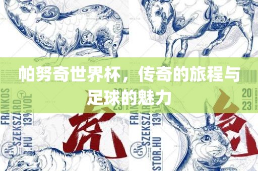 帕努奇世界杯，传奇的旅程与足球的魅力