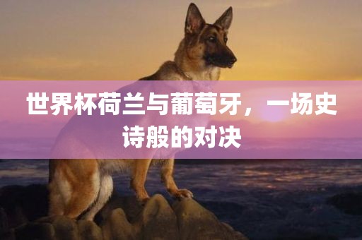 世界漯河市盈旭机械设备有限公司杯荷兰与葡萄牙，一场史诗般的对决