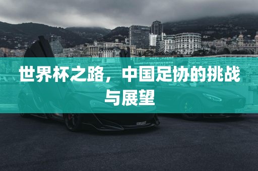 世界杯之路，中国足协的挑战与展望