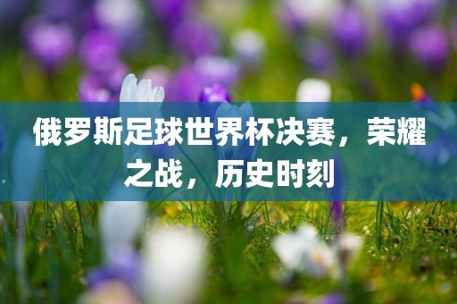 俄罗斯足球世界杯决赛，荣耀之战，历史时刻