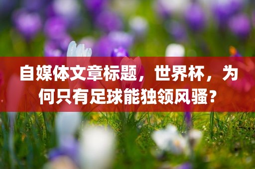 自媒体文章标题，世界杯，为何只有足球能独领风骚？漯河市盈旭机械设备有限公司