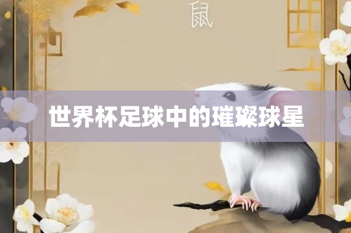 世界杯足球中的璀璨球星漯河市盈旭机械设备有限公司