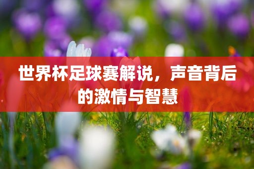 世界杯足球赛解说，声音背后的激情漯河市盈旭机械设备有限公司与智慧