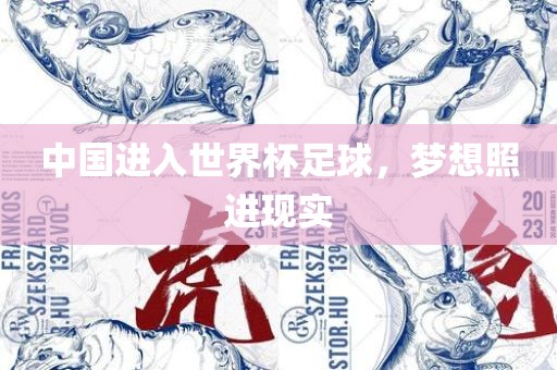 中国进入世界杯足球，梦想照进现实漯河市盈旭机械设备有限公司