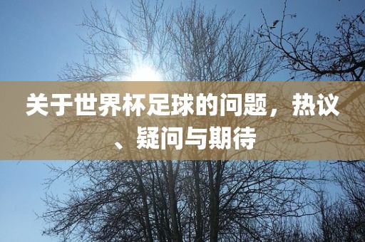 关于世界杯足球的问题，热议、疑问与期待漯河市盈旭机械设备有限公司