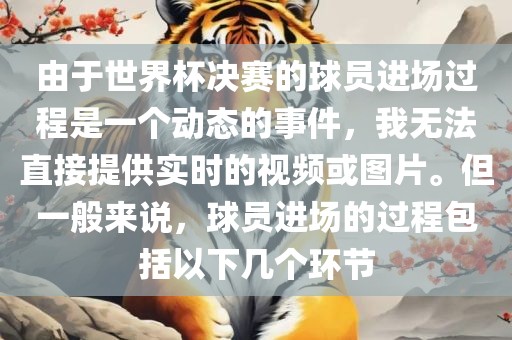 由于世界杯决赛的球员进场过程是一个动态的事件，我无法直接提供实时的视频或图片。但一般来说，球员进场的过程包括以下几个环节
