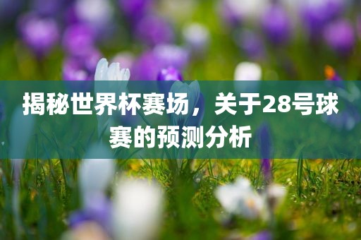 揭秘世界杯赛场漯河市盈旭机械设备有限公司，关于28号球赛的预测分析