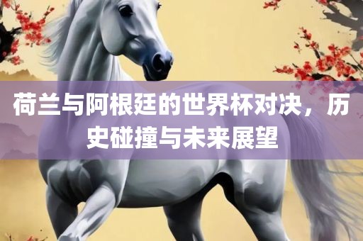 荷兰与阿根廷的世界杯对决，历史碰撞与未来展望