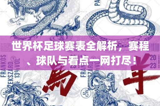 世界杯足球赛表全解析，赛程、球队与看点一网打尽！