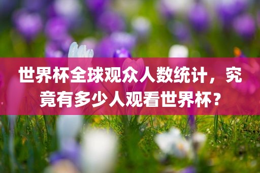 世界杯全球观众人数统计，究竟有多少人观看世界杯？漯河市盈旭机械设备有限公司