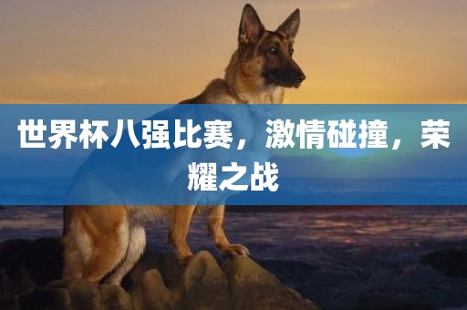 世界杯八强比赛，激情碰撞，荣耀之战漯河市盈旭机械设备有限公司