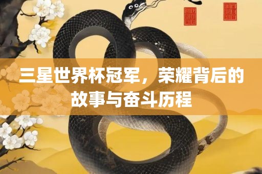 三星世界杯冠军，荣耀背后的故事与奋斗历程漯河市盈旭机械设备有限公司