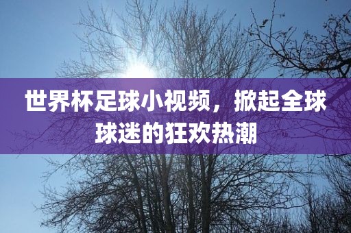 世界杯足球小视频，掀起全球球迷的狂欢热潮漯河市盈旭机械设备有限公司