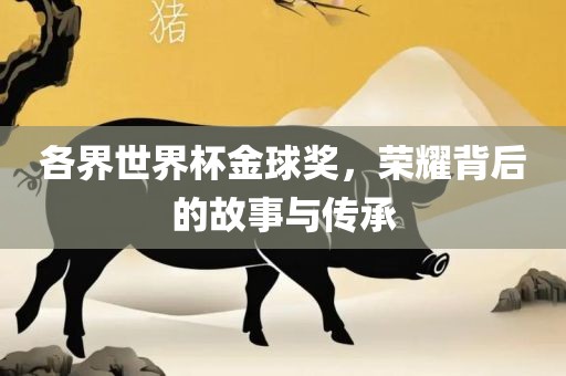 各界世界杯金球奖，荣耀背后的故事与传承