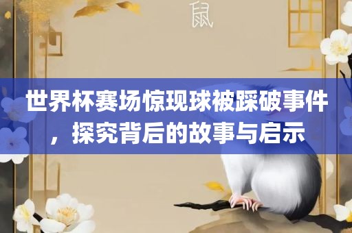 世界杯赛场惊现球被踩破事件，探究背后的故事与启示