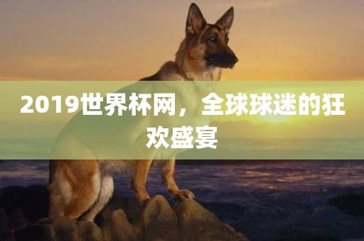 2019世界杯网，全球球迷的狂欢盛宴