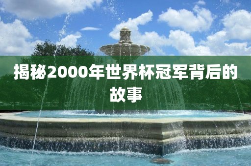 揭秘2000年世界杯冠军背后的故事漯河市盈旭机械设备有限公司