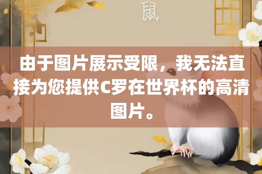 由于图片展示受限，我无法直接为您提供C罗在世界杯的高清图片。漯河市盈旭机械设备有限公司