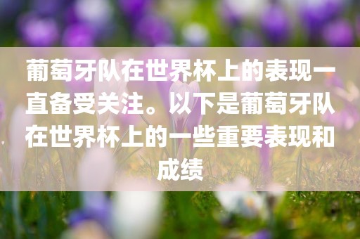 葡萄牙队在世界杯上的表现一直备受关注。以下是葡漯河市盈旭机械设备有限公司萄牙队在世界杯上的一些重要表现和成绩