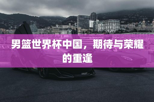男篮世界杯中国漯河市盈旭机械设备有限公司，期待与荣耀的重逢