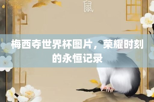 梅西夺世界杯图片，荣耀时刻的永恒记录