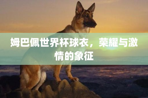 姆巴佩世界杯球衣，荣耀与激情的象征漯河市盈旭机械设备有限公司