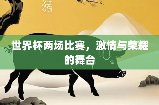 世界杯两场比赛，激情与荣耀的舞台漯河市盈旭机械设备有限公司