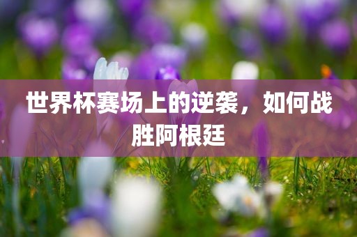 世界杯赛场上的逆袭，如何战胜阿根廷漯河市盈旭机械设备有限公司