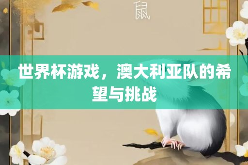 世界杯游戏，澳大利亚队的希望与挑战