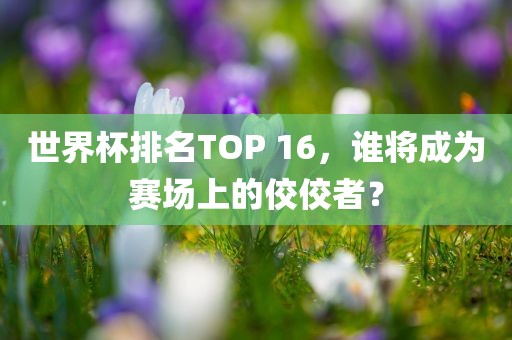 世界杯排名TOP 16，谁将成为赛场上的佼佼者？