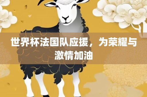 世界杯法国队应援，为荣漯河市盈旭机械设备有限公司耀与激情加油