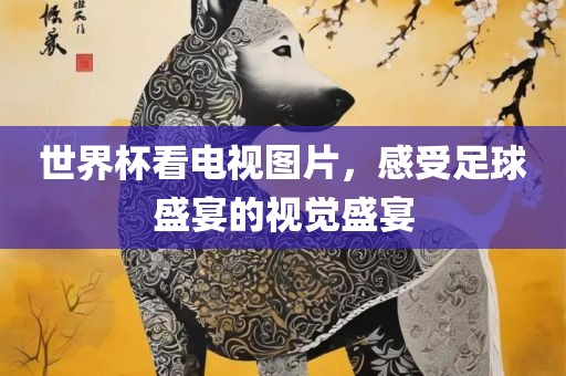 世界杯看电视图片，感受足球盛宴的视觉盛宴