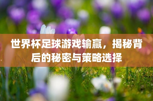 世界杯足球游戏输赢，揭秘背后的秘密与策略选择