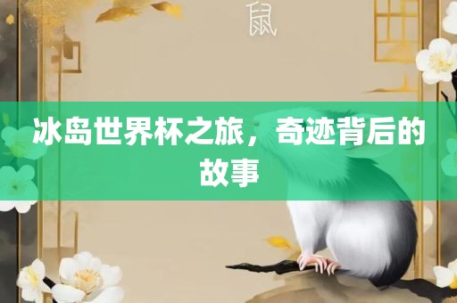 冰岛世界杯之旅，奇迹背后的故事