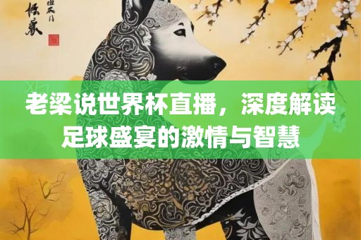 老梁说世界杯直播漯河市盈旭机械设备有限公司，深度解读足球盛宴的激情与智慧