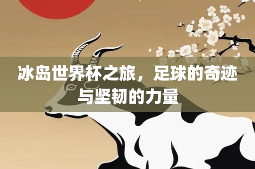 冰岛世界杯之旅，足球的奇迹与坚韧的力量